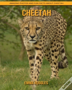 Capa do artigo Cheetah
