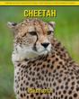 Cheetah - Preview