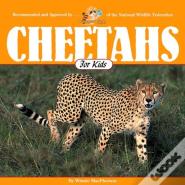 Cheetahs For Kids