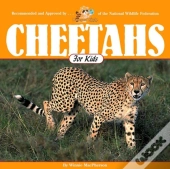 Cheetahs For Kids