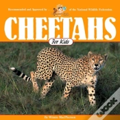 Capa do artigo Cheetahs For Kids