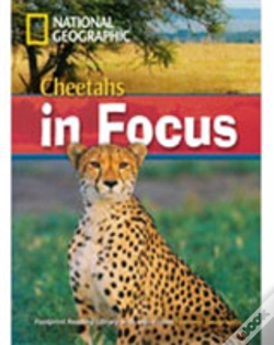 Capa do artigo Cheetahs In Focus