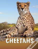 Cheetahs