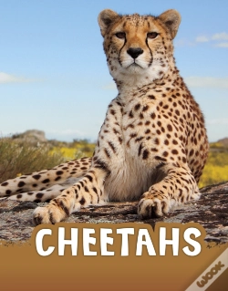 Capa do artigo Cheetahs