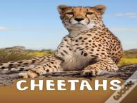 Cheetahs