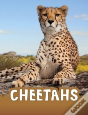 Capa do artigo Cheetahs