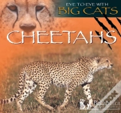 Capa do artigo Cheetahs