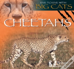 Capa do artigo Cheetahs