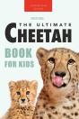 Cheetahs - Preview