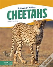 Capa do artigo Cheetahs