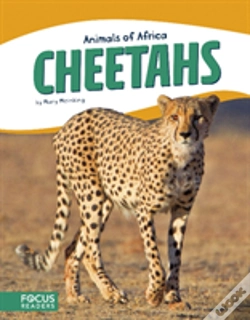 Capa do artigo Cheetahs