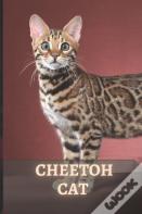 Cheetoh Cat