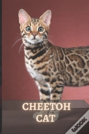 Capa do artigo Cheetoh Cat