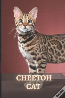 Capa do artigo Cheetoh Cat
