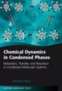 Chemical Dynamics In Condensed Phases - Preview