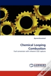 Chemical Looping Combustion