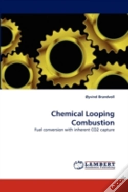 Capa do artigo Chemical Looping Combustion