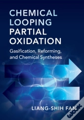 Chemical Looping Partial Oxidation