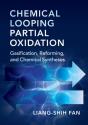 Chemical Looping Partial Oxidation - Preview