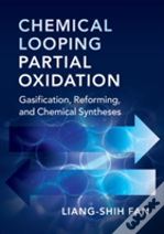 Chemical Looping Partial Oxidation