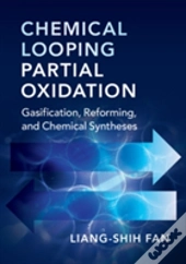 Chemical Looping Partial Oxidation