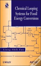 Capa do artigo Chemical Looping Systems For Fossil Energy Conversions