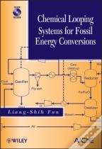 Chemical Looping Systems For Fossil Energy Conversions