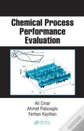 Chemical Process Performance Evaluation