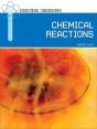 Chemical Reactions - Preview