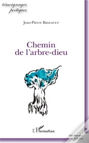 Capa do artigo Chemin De L