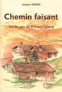 Chemin Faisant ; Sur Les Pas Du Dr Gerard - Preview