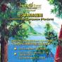 Chemotherapy Companion (Mandarin) - CD - Preview