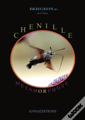 Chenille
