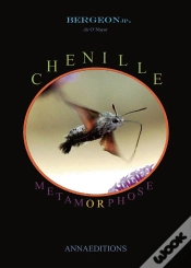 Capa do artigo Chenille