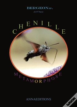 Capa do artigo Chenille