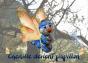 Chenille Devient Papillon - Preview