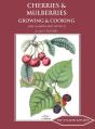 Cherries And Mulberries - Preview