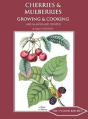 Cherries & Mulberries - Preview