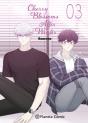 Cherry Blossoms After Winter Nº 03 - Preview
