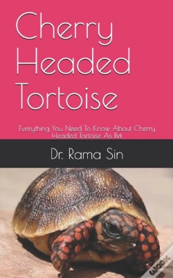 Capa do artigo Cherry Headed Tortoise