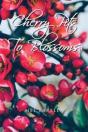 Cherry Pits To Blossoms - Preview