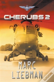 Capa do artigo Cherubs 2