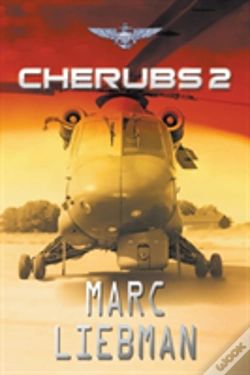 Capa do artigo Cherubs 2