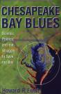 Chesapeake Bay Blues - Preview