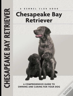 Capa do artigo Chesapeake Bay Retriever