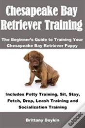 Capa do artigo Chesapeake Bay Retriever Training
