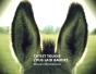 Ch'Est Toudis L'Pus Laid Baudet... - Preview