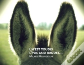 Ch'Est Toudis L'Pus Laid Baudet...