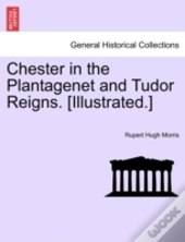 Chester In The Plantagenet And Tudor Rei