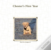 Capa do artigo Chester